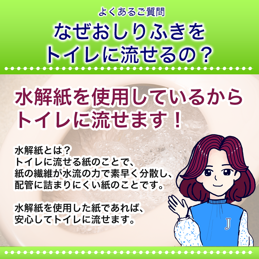 3個セット【大人用】介護におすすめ!大きさ約2倍!『トイレに流せるおしりふき』 厚手 ノンアルコール【送料無料 ※北海道・沖縄・離島を除く】