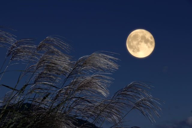 🌕十五夜の“月”とトイレの意外な関係？月見の季節に十五夜飾りで整える心と空間