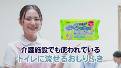 3個セット【大人用】介護におすすめ！大きさ約2倍！『トイレに流せるおしりふき』  厚手 ノンアルコール【送料無料 ※北海道・沖縄・離島を除く】